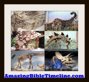 bible and dinosaurs timeline