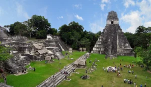Tikal_Grows