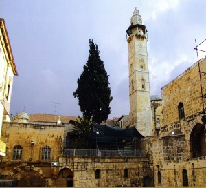Omar_In_jerusalem