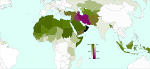 Fatimid_Domain