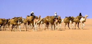 mali_converted_to_islam