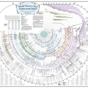 timeline new colors